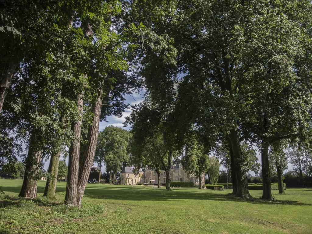 Chateau De Planchevienne マニ・クール エクステリア 写真