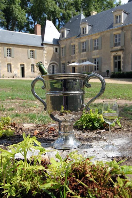 Chateau De Planchevienne マニ・クール エクステリア 写真